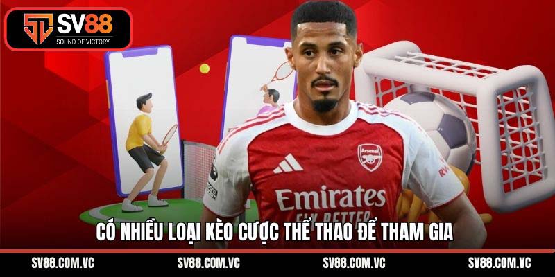 Có nhiều loại kèo cược thể thao để tham gia